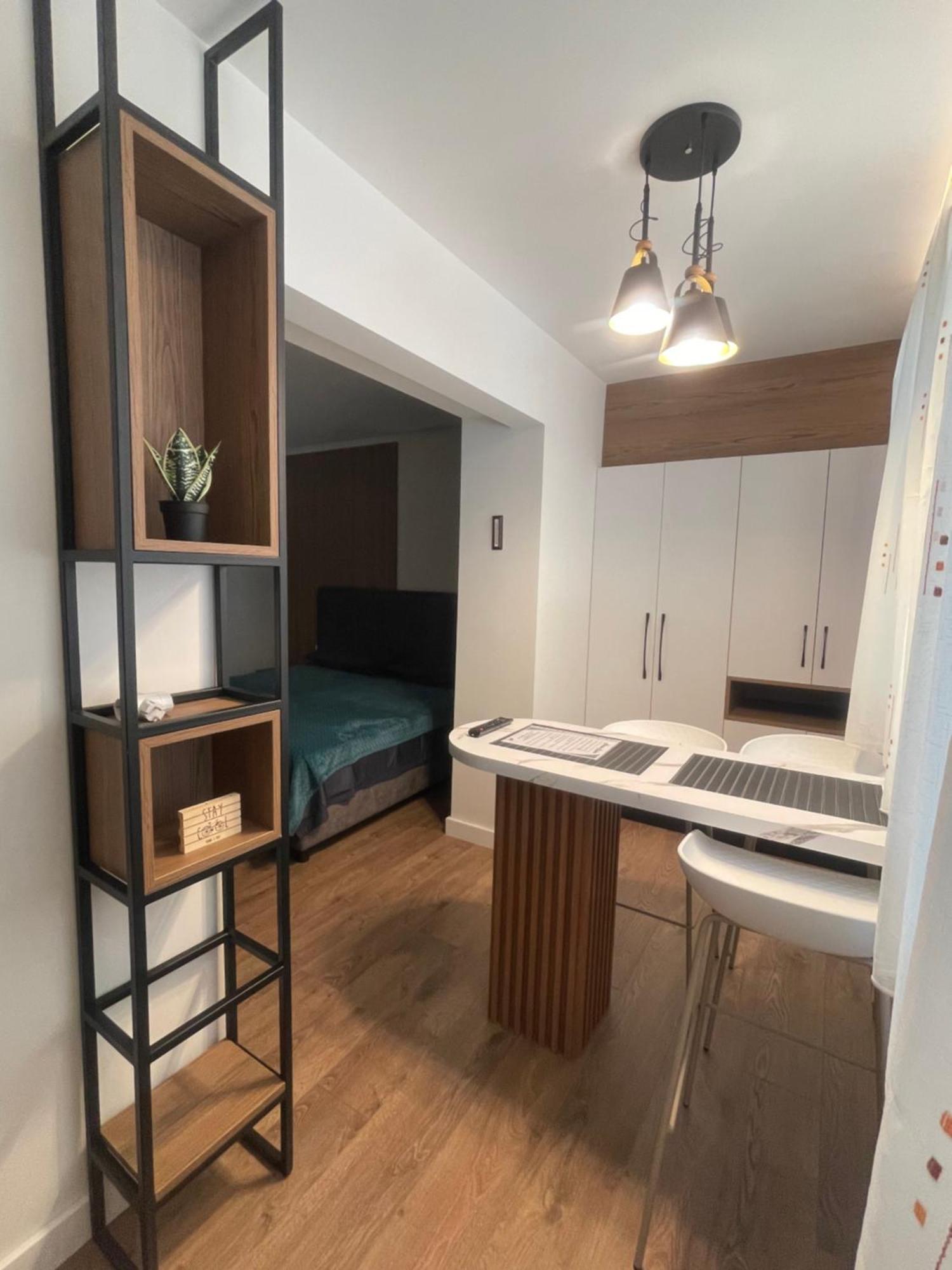 Downtown Studio Apartments ティラナ エクステリア 写真